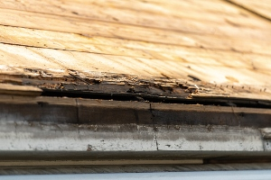 Roof Replacement Services in Nassau and Suffolk County